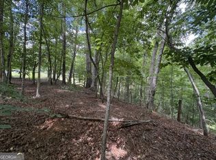 16 Calhoun Rd, Dahlonega, GA 30533