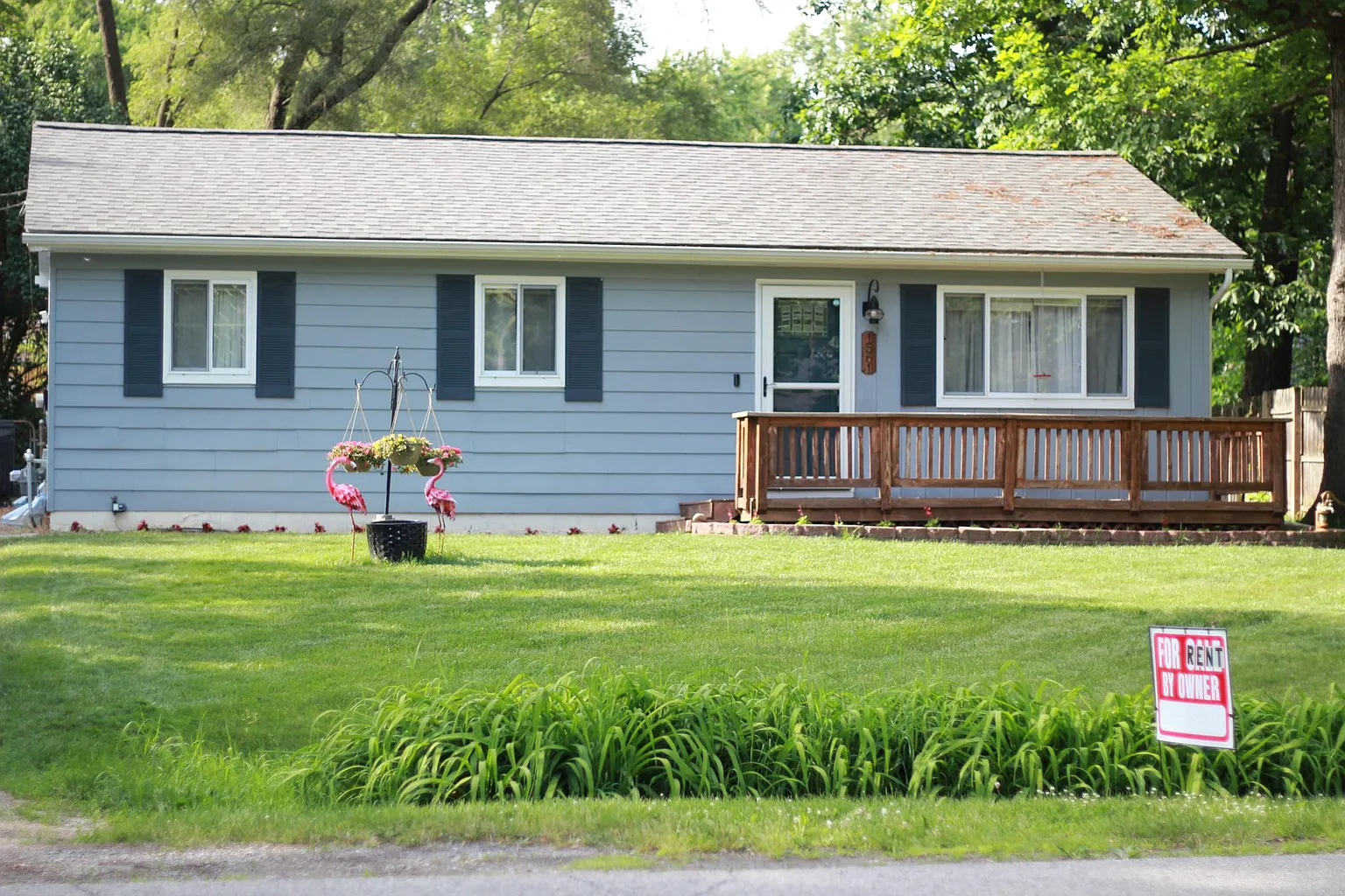 1561 Odette photo 1