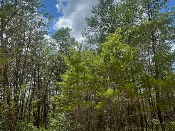 NEILSON AVE, INTERLACHEN, FL 32148