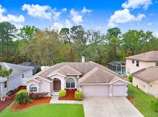 10014 Vista Pointe Dr, Tampa, FL 33635