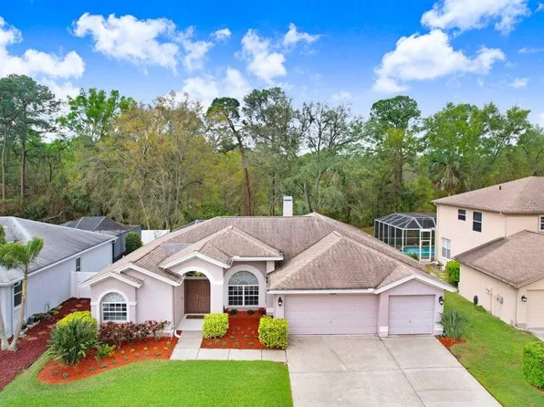 10014 Vista Pointe Dr, Tampa, FL 33635