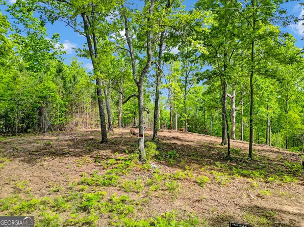 112 Marks Way, Canton, GA 30115