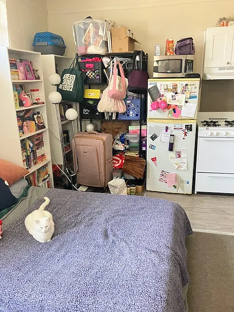 Studio, 200 sqft, $970 — Photo 4
