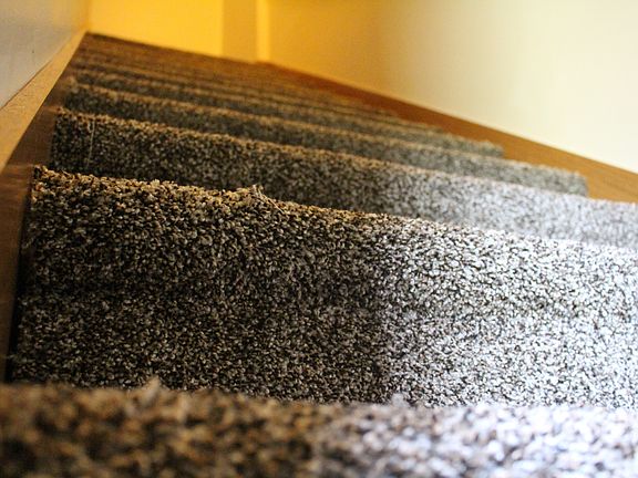 New Carpet Throughout Entire Home!