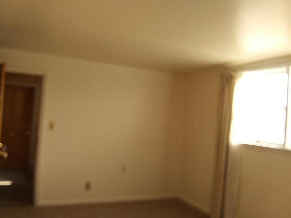 Living room entrance door