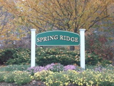215 Alexandria Way, Basking Ridge, NJ, 07920
