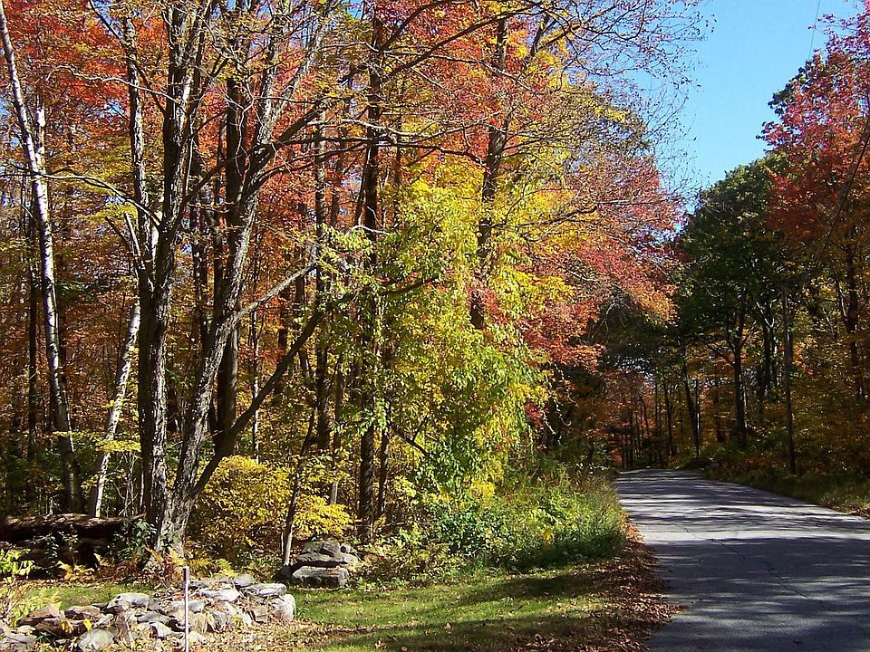 Autumn on Looking Glass Hill Rd.
