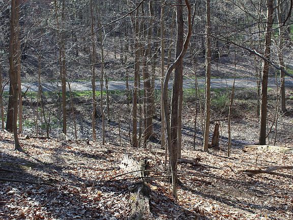 5th image of 0 Apple Valley Dr Lot 313