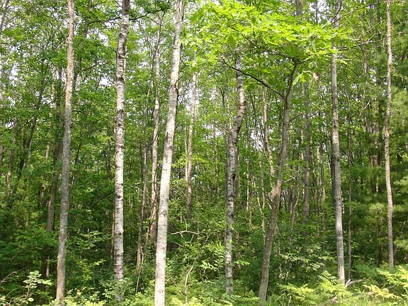 3rd image of Mershon Trail 3.62 Acres