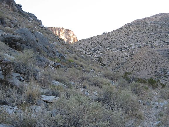 View looking North