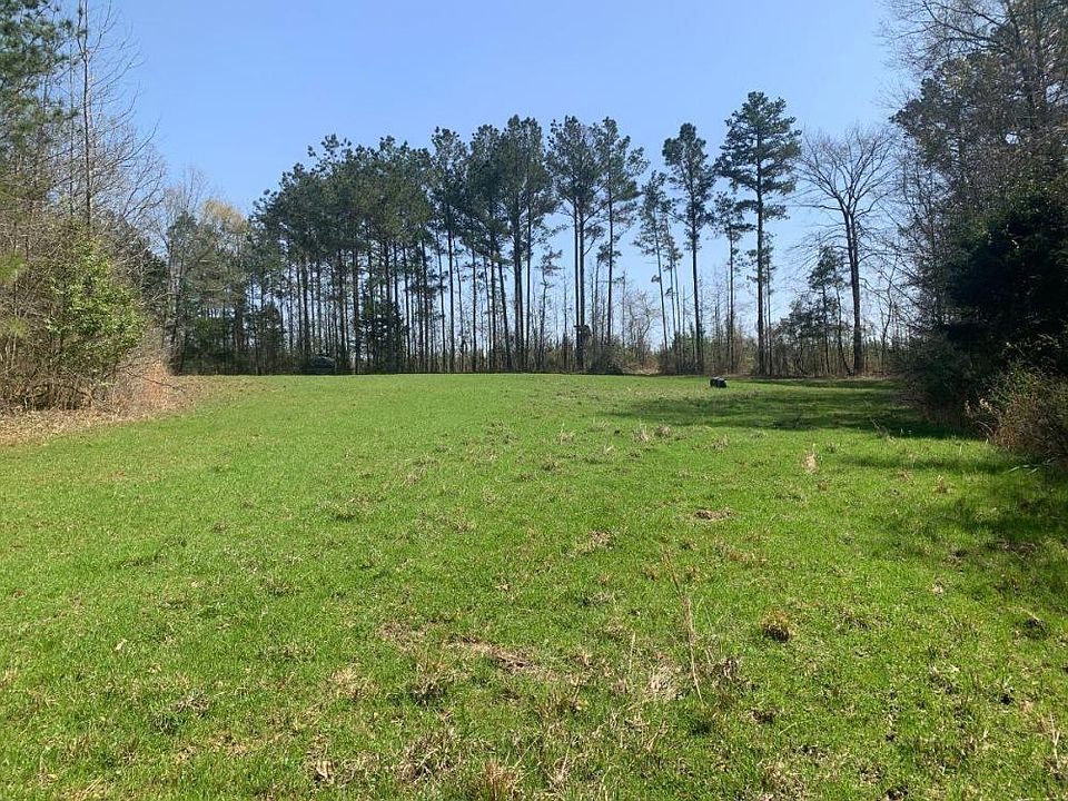 Large Food Plot Near Southeast Corner