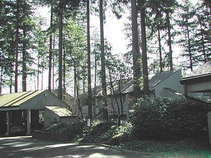 outside grounds