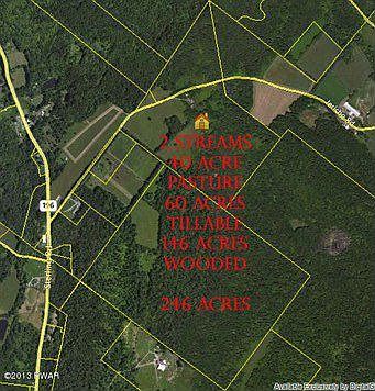 Fitz Ariel- Main View