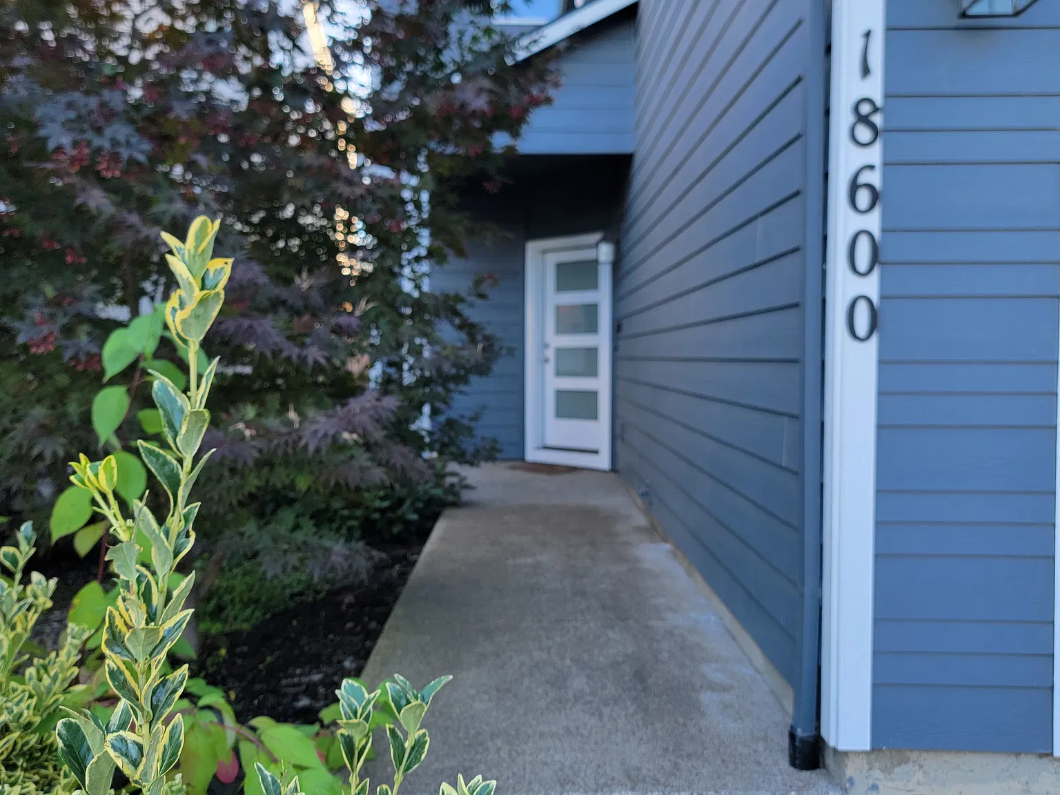3 bed, 2343 sqft, $3,100 — Photo 2