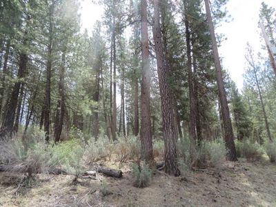 0 Twin River Dr #2, Chiloquin, OR, 97624