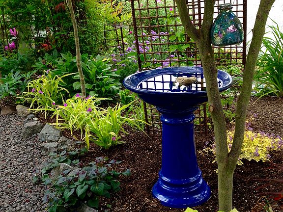 From house view Front garden 