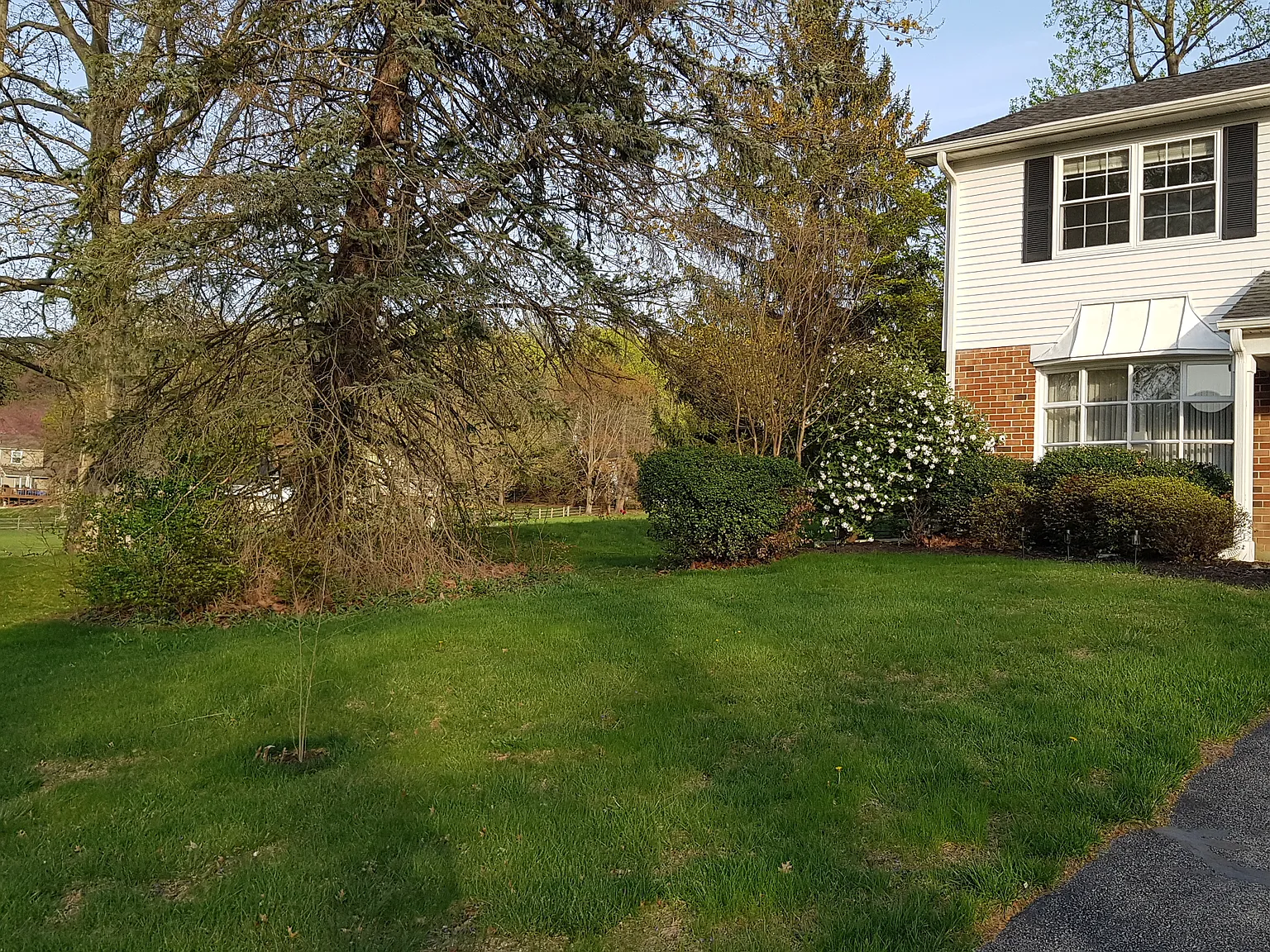 520 Merioneth Dr — Photo 2