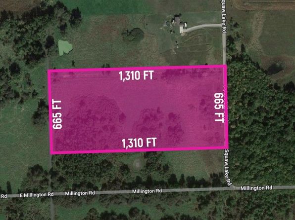0 Squaw Lake Rd, Silverwood, MI 48760