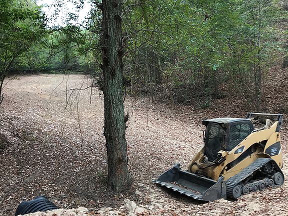 Food plot along the creekbed
