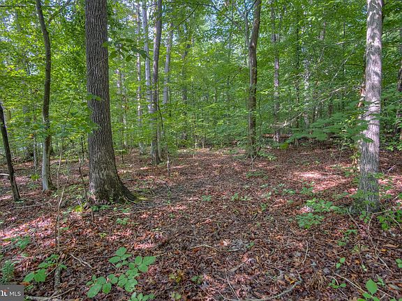 4th image of 7116 Sylvan Glen Ln