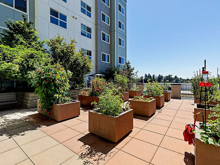 Resident Sun Deck