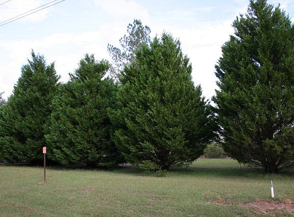 4th image of 4445 County Road 45 S