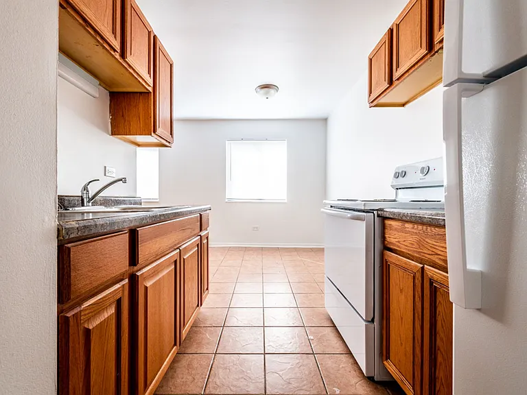 8342-8350 S Ellis Ave Chicago, IL 60619 — Photo 21
