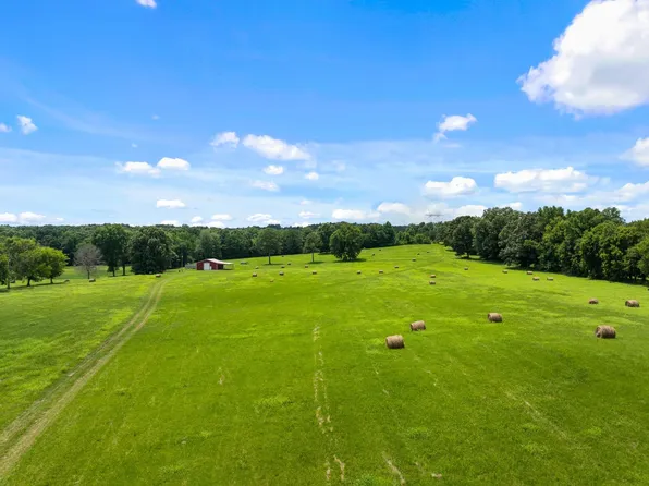 1021 Wallace Looney Rd, Leighton, AL 35646