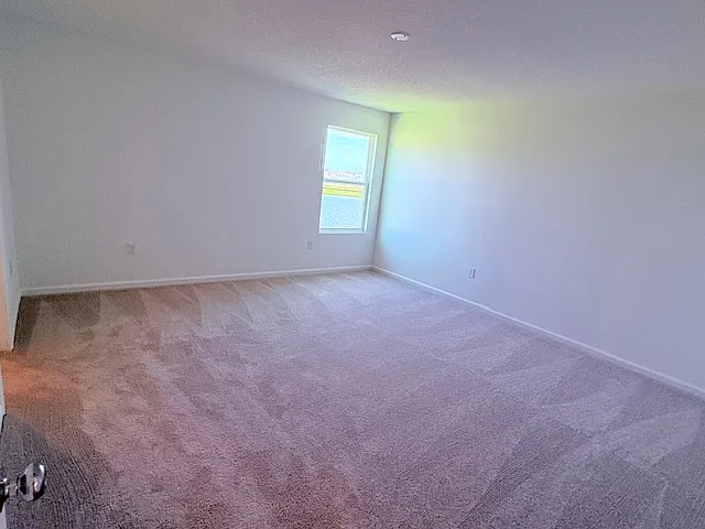 2311 Green Valley St — Photo 18