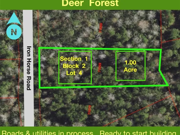 284 Iron Horse Rd Lot 4, New Waverly, TX 77358