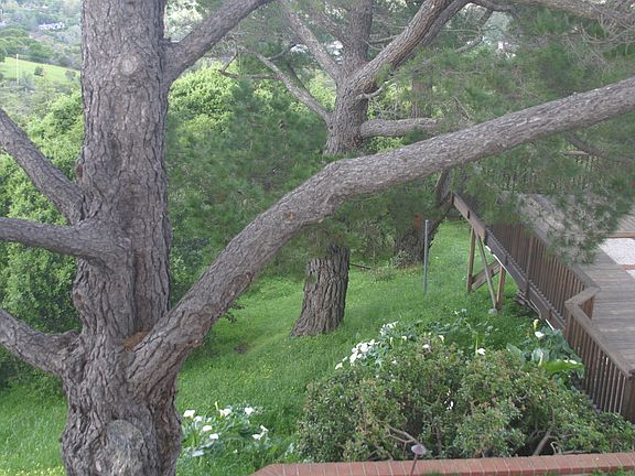 3rd image of 25 Glenbrook Dr