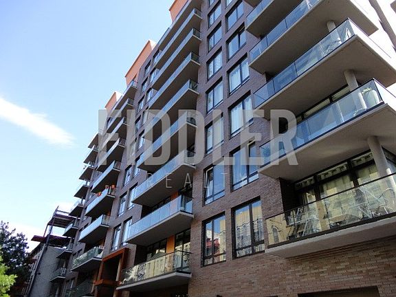 5th image of 146 S 4th St #1G