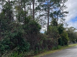 309 Alemander Ave, Debary, FL 32713