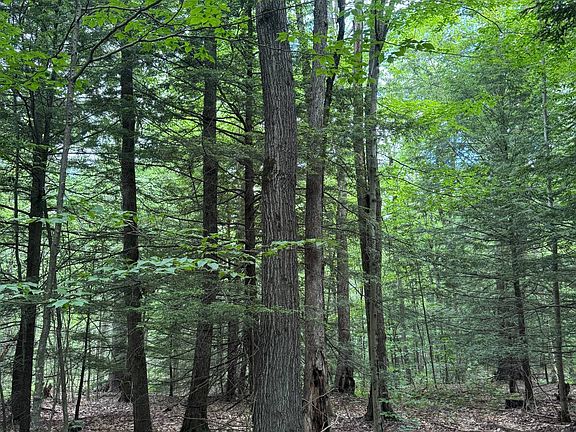 2nd image of 0 Iron Kettle Rd