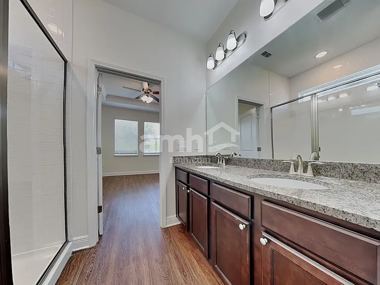 1367 Celery Palm Cv — Photo 16