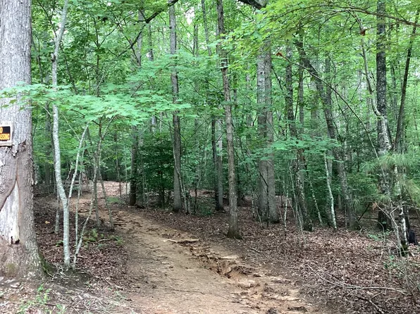 Carter Ln Lot 17, Blairsville, GA 30512