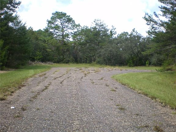 4th image of 9331 N Buttercup Way