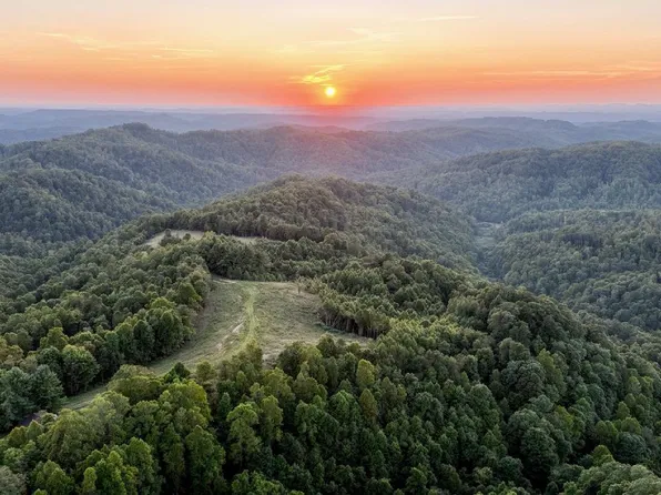 1737 Milam Fork Black Rd, Herndon, WV 24726