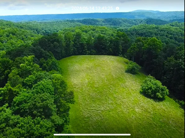 Black Dog Ln, Renick, WV 24966