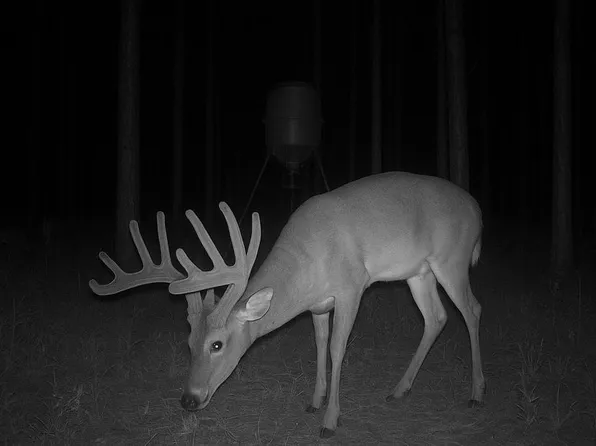 0 Pleasant Grove Church Rd #B, Albany, GA 31705