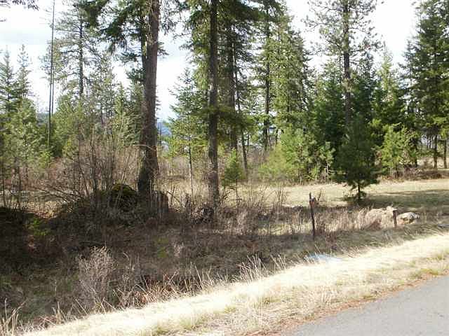 2nd image of S Jackleg Trl