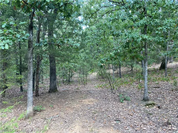 0 Quarry Bluff Rd, Blue Mountain, AR 72826