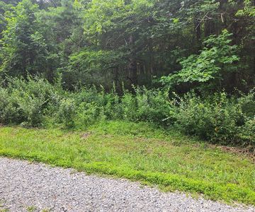 LOT 38 Hickory Hollow Ln SE, Copper Hill, VA, 24079