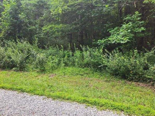 LOT 38 Hickory Hollow Ln SE, Copper Hill, VA 24079