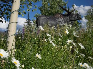 36 Fremont Point, Fraser, CO 80442