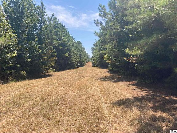 3rd image of 550 Tippett Rd