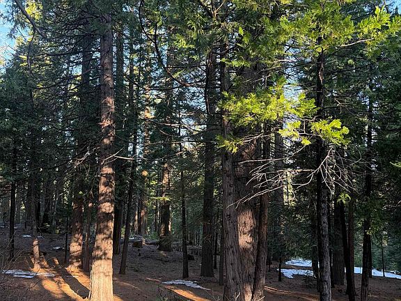 2nd image of (Undisclosed Address)