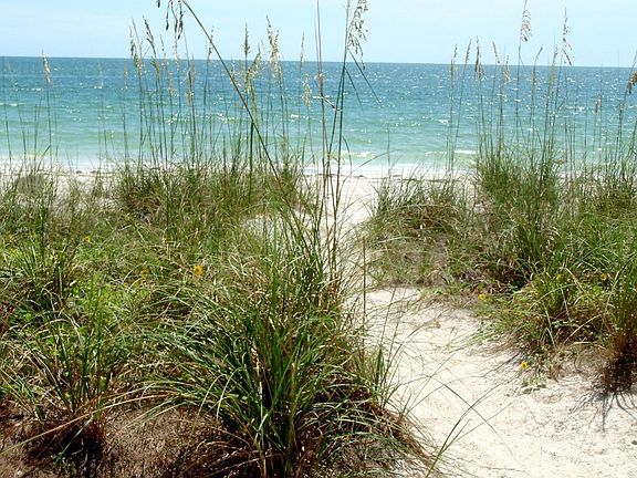 Just steps to the beach . . .