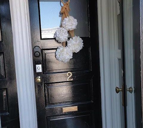 Apt front door