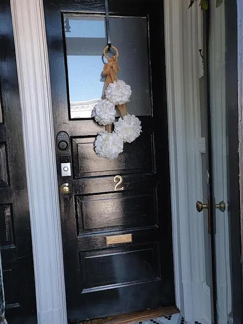 Apt front door